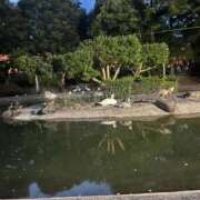 ヒメ日記 2026/08/25 09:35 投稿 かりん PLAYBOY（一番町）