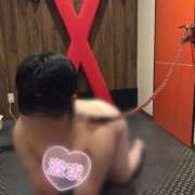 ヒメ日記 2026/03/20 17:59 投稿 ときね 多恋人倶楽部　宇部店