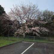 ヒメ日記 2026/03/30 23:17 投稿 ときね 多恋人倶楽部　宇部店