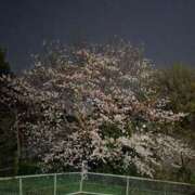 ヒメ日記 2026/03/30 23:37 投稿 ときね 多恋人倶楽部　宇部店