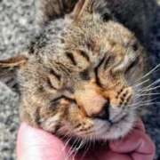 ヒメ日記 2026/04/02 10:10 投稿 ときね 多恋人倶楽部　宇部店