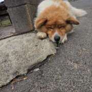 ヒメ日記 2026/04/17 10:32 投稿 ときね 多恋人倶楽部　宇部店