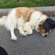 ヒメ日記 2026/04/18 19:58 投稿 ときね 多恋人倶楽部　宇部店