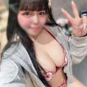 ヒメ日記 2026/03/24 06:28 投稿 こはね JAPAN CLUB BUNNY LOUNGE