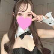 ヒメ日記 2026/03/01 05:30 投稿 まりか JAPAN CLUB BUNNY LOUNGE