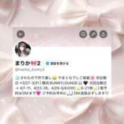 ヒメ日記 2026/03/29 14:07 投稿 まりか JAPAN CLUB BUNNY LOUNGE