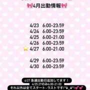 ヒメ日記 2026/04/15 12:04 投稿 まりか JAPAN CLUB BUNNY LOUNGE