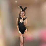 ヒメ日記 2026/05/11 17:19 投稿 まりか JAPAN CLUB BUNNY LOUNGE