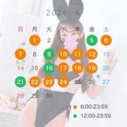 ヒメ日記 2026/05/22 18:19 投稿 まりか JAPAN CLUB BUNNY LOUNGE