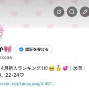 ヒメ日記 2026/06/15 17:02 投稿 まりか JAPAN CLUB BUNNY LOUNGE