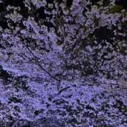 ヒメ日記 2026/04/06 10:21 投稿 りな 逢って30秒で即尺