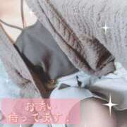 ヒメ日記 2026/02/28 20:13 投稿 【りと】細身ボディのお姉さま バブルリングプラス