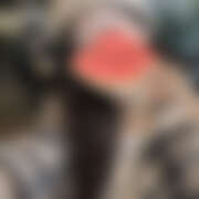 ヒメ日記 2026/02/13 14:17 投稿 せいら DEEP BLACK