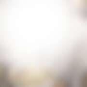 ヒメ日記 2026/02/20 14:07 投稿 せいら DEEP BLACK