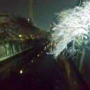 ヒメ日記 2026/03/31 23:18 投稿 梅 モアグループ春日部人妻城