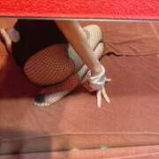 ナナチ【綺麗系Sバニー】 Mの理想が詰まったうさぎさん🐰 バニーコレクション 中洲店