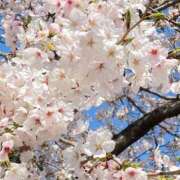 まこ おはようございます♡ 船橋桃色の妻たち