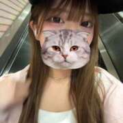 ヒメ日記 2026/04/08 18:31 投稿 のどか◇キャバ系の巨乳美少女◇ H-ash（アッシュ）