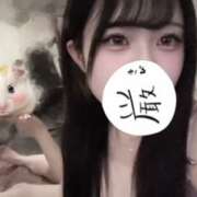 ヒメ日記 2026/04/13 05:37 投稿 白銀 きあら OLセレクション宇都宮店