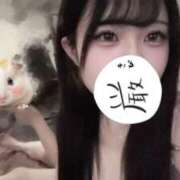 ヒメ日記 2026/04/28 08:04 投稿 白銀 きあら OLセレクション宇都宮店