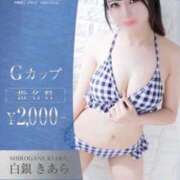 ヒメ日記 2026/07/19 12:15 投稿 白銀 きあら OLセレクション宇都宮店