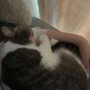 ヒメ日記 2026/03/03 11:03 投稿 月妃 痴女@女王様