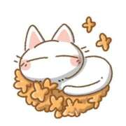 せいら 退勤しました コンカフェ×オナクラ あいこねくと