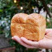 ヒメ日記 2026/02/13 11:13 投稿 八神 まな クラブダンディー