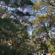 ヒメ日記 2026/02/14 17:45 投稿 八神 まな クラブダンディー