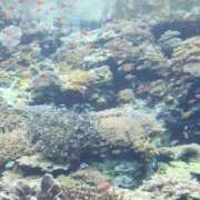 ヒメ日記 2026/02/16 17:09 投稿 八神 まな クラブダンディー