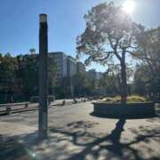 八神 まな ありがと クラブダンディー