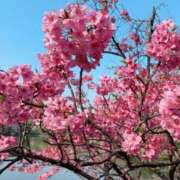 八神 まな 出勤します🥱 クラブダンディー