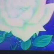 ヒメ日記 2026/04/06 08:31 投稿 れいこ 足利ソープ SBC