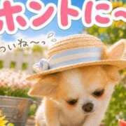 ヒメ日記 2026/07/22 08:31 投稿 れいこ 足利ソープ SBC