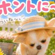 ヒメ日記 2026/08/02 08:46 投稿 れいこ 足利ソープ SBC