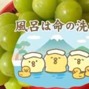ヒメ日記 2026/08/13 07:46 投稿 れいこ 足利ソープ SBC