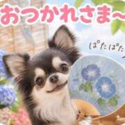 ヒメ日記 2026/08/24 12:16 投稿 れいこ 足利ソープ SBC