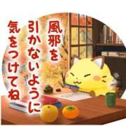 ヒメ日記 2026/09/11 07:31 投稿 れいこ 足利ソープ SBC