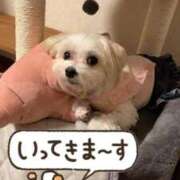 ヒメ日記 2026/10/19 12:46 投稿 れいこ 足利ソープ SBC