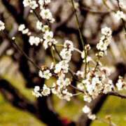 ヒメ日記 2026/02/23 02:16 投稿 みさき 足利スチームバスセンター