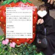 ヒメ日記 2026/02/18 10:22 投稿 ひな ホワイトベル