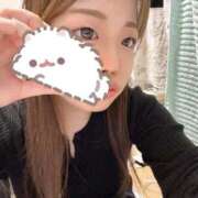 ヒメ日記 2026/03/29 10:12 投稿 ひな ホワイトベル