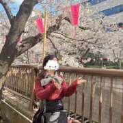 ヒメ日記 2026/03/31 12:03 投稿 ひな ホワイトベル