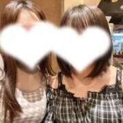 ヒメ日記 2026/04/02 12:03 投稿 ひな ホワイトベル