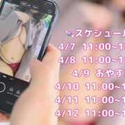 ヒメ日記 2026/04/07 13:12 投稿 ひな ホワイトベル