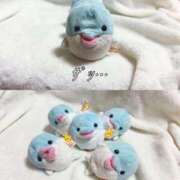 ひな 😢、、 ホワイトベル