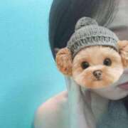 ヒメ日記 2026/02/15 17:29 投稿 れい プリコレ（PRINCESS COLLECTION）