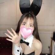 ヒメ日記 2026/02/24 14:30 投稿 りん JAPAN CLUB BUNNY LOUNGE