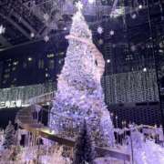 ヒメ日記 2026/02/13 14:31 投稿 みれい 池袋S級素人派遣型東京美少女物語