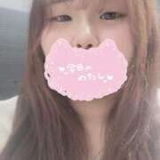 ヒメ日記 2026/02/24 22:31 投稿 かな 兵庫姫路・加古川ちゃんこ